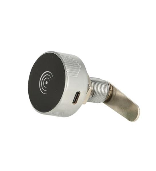 Elec. Mifare1 Cam Lock 