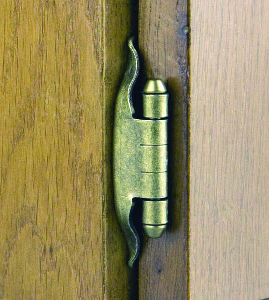 Self Closing Hinge 