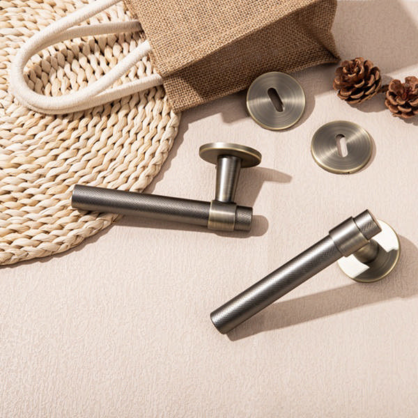 Zamak Door Handle 