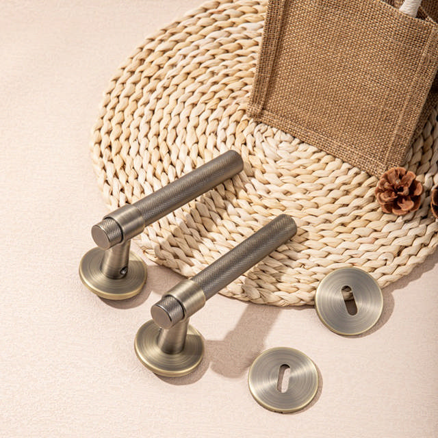 Zamak Door Handle 